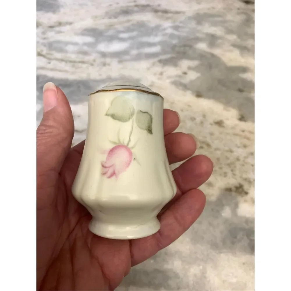 Vintage Unique Salt Hand Painted Shakers One from Nippon and other Lefton